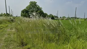 সাউথ ফেস ৩ কাঠা পূর্বাচল সেক্টর ২৩