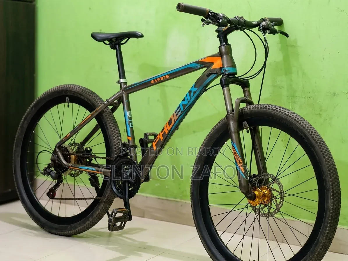 A Used Bicycle