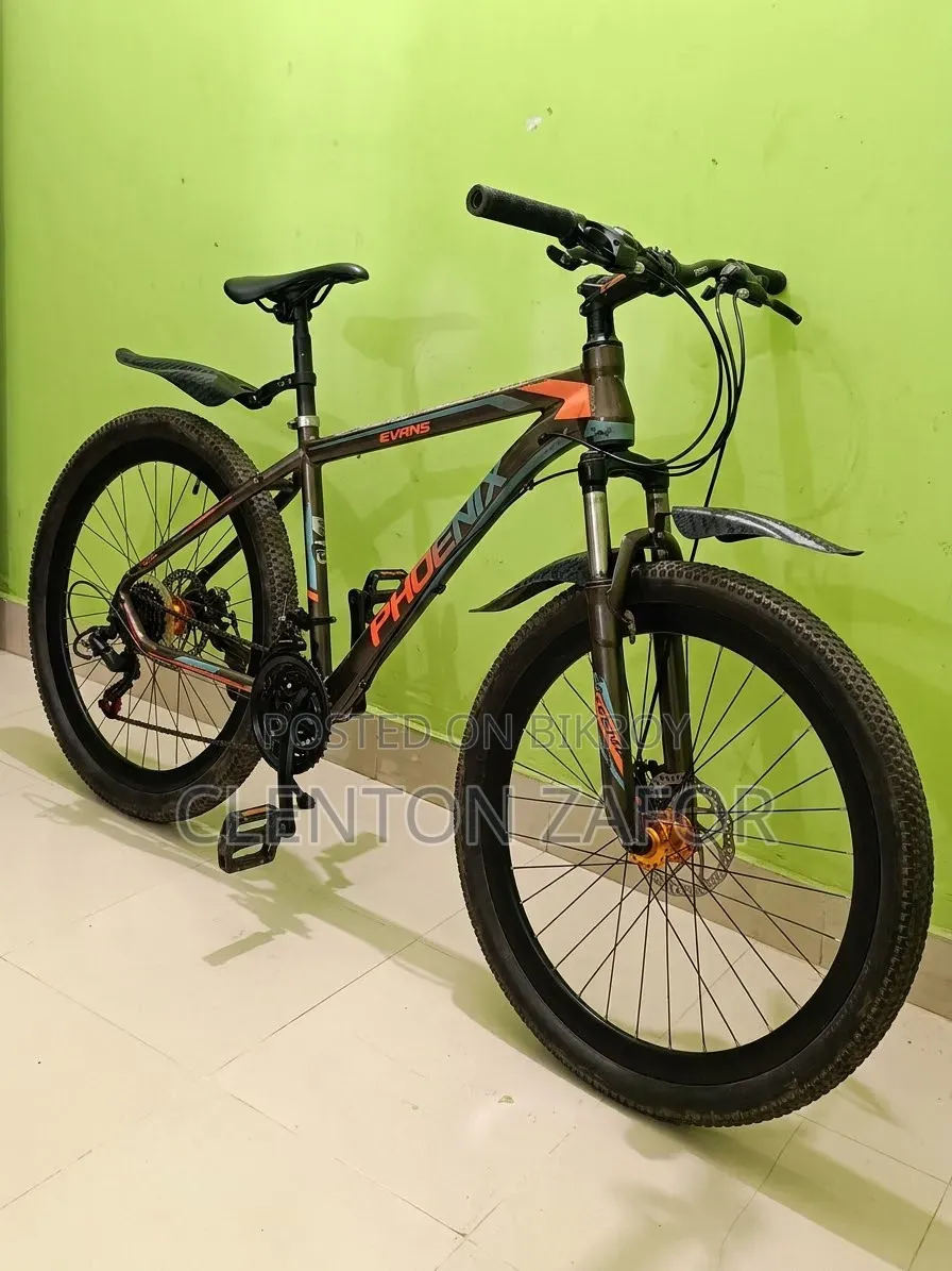 A Used Bicycle