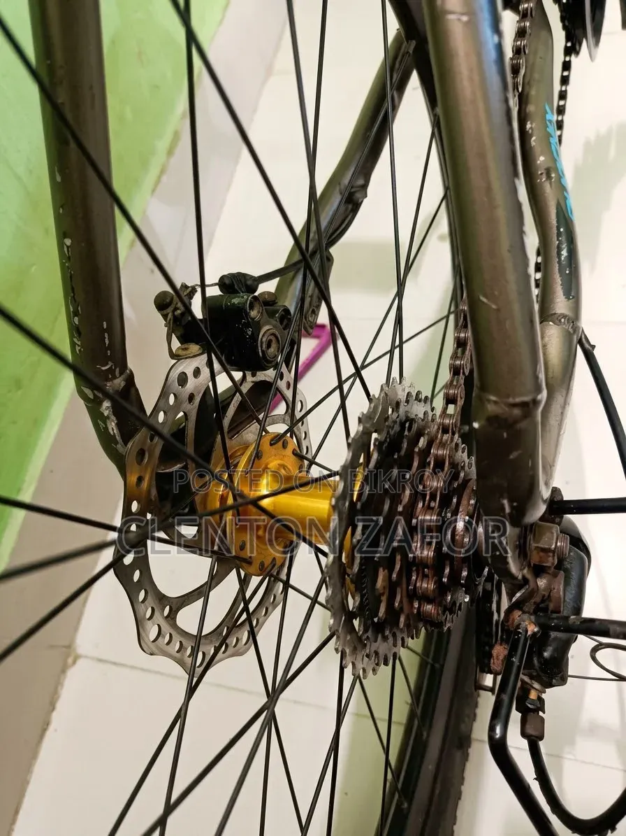 A Used Bicycle