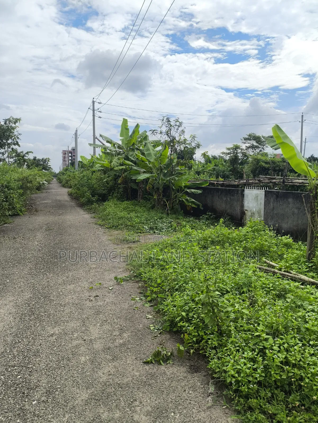 *সেক্টর:২৩,রোড:৪০১,প্লট:০০,পূর্বাচল।