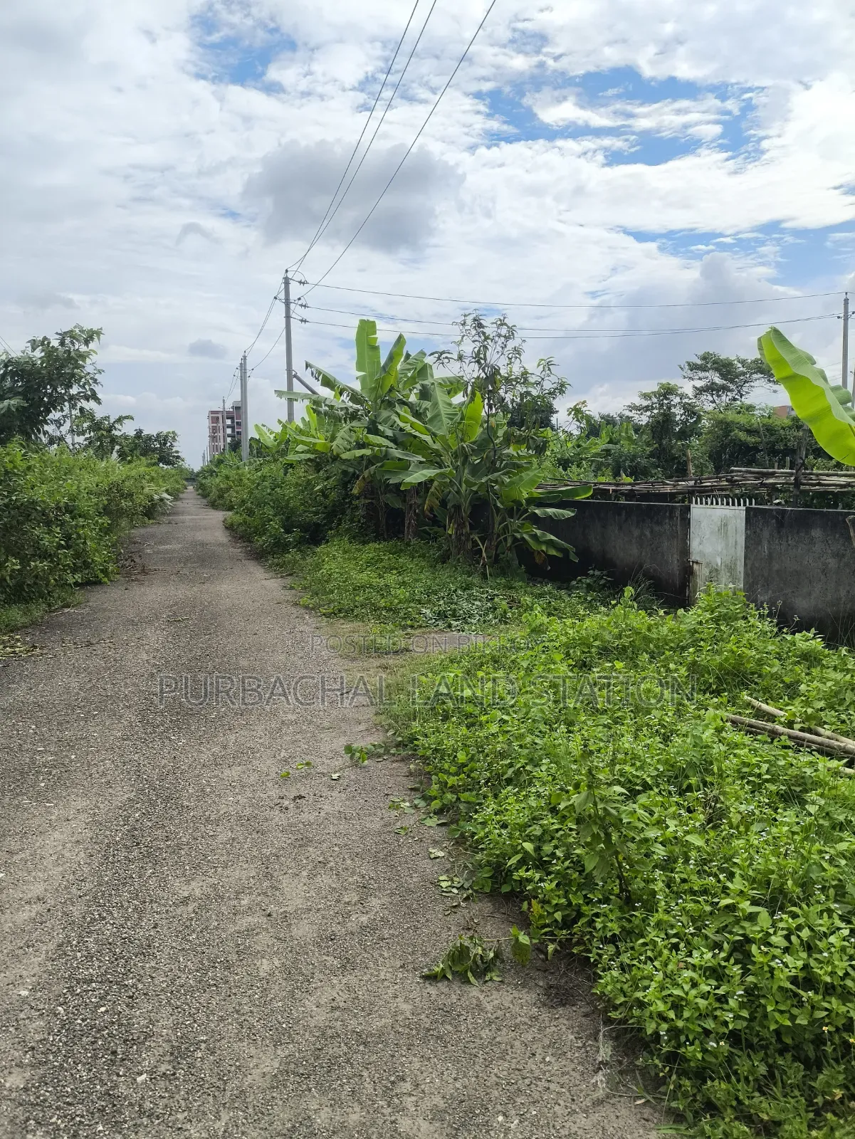 *সেক্টর:২৩,রোড:৪০১,প্লট:০০,পূর্বাচল।