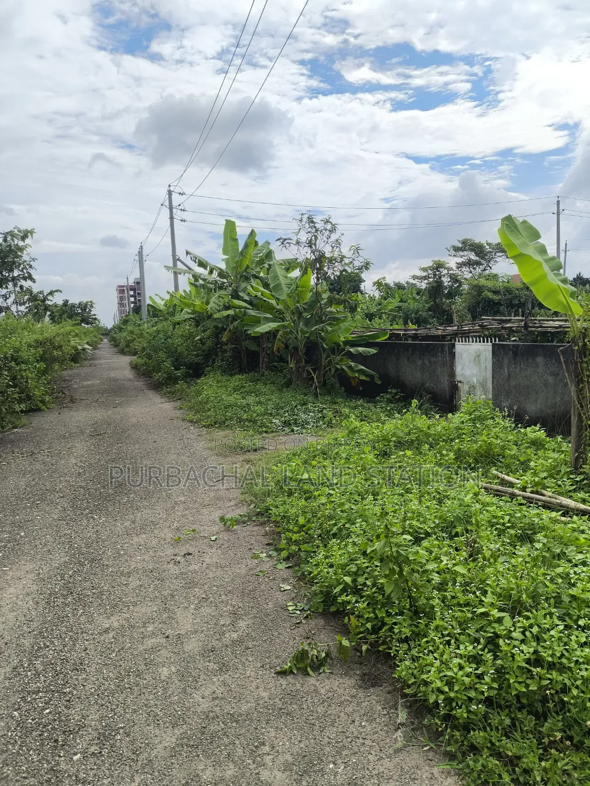 *সেক্টর:২৩,রোড:৪০১,প্লট:০০,পূর্বাচল।