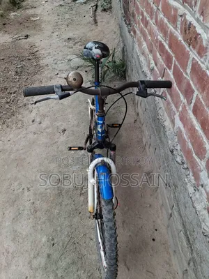Cycle (Model: Phoenix FIRE BIRD 24 Inches)