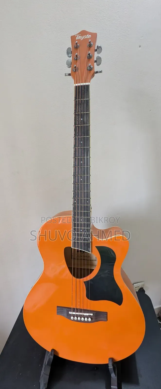 টেইস্ট গিটার ব্যাগ, স্ট্যান্ড, ক্যাপো, পিক সহ