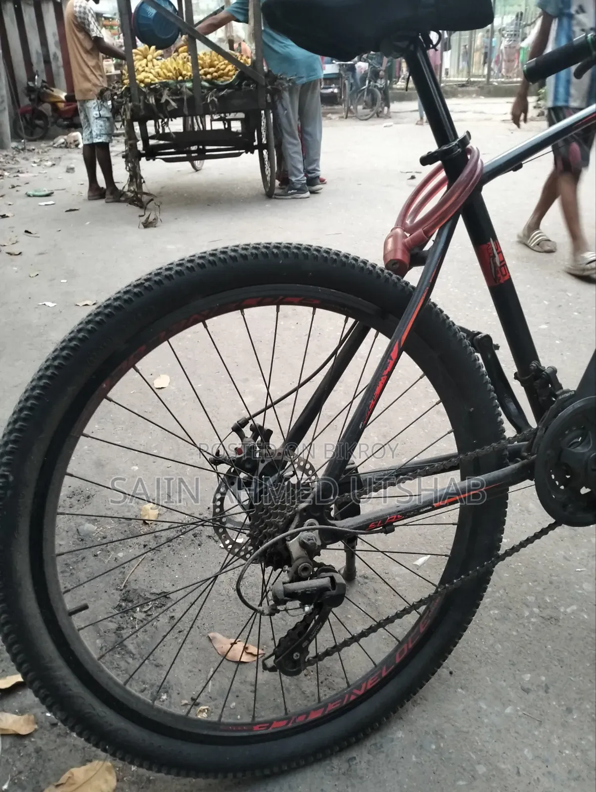 VELOCE Bicycle. 7 Gear