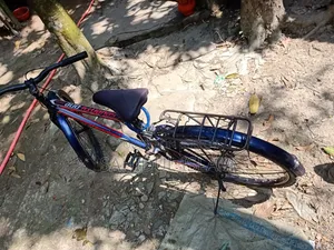 My beloved cycle will be sold