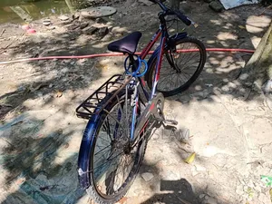 My beloved cycle will be sold