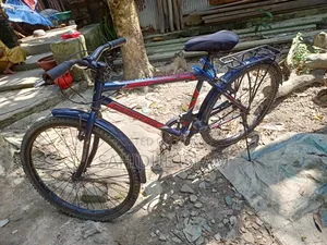 My beloved cycle will be sold