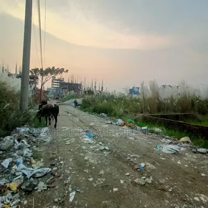 এন_ব্লক_৪কে // দক্ষিণমুখী // জমি বিক্রি // বসুন্ধরা আবাসিক এলাকা