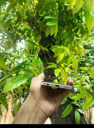 Realme C55 64 GB Silver