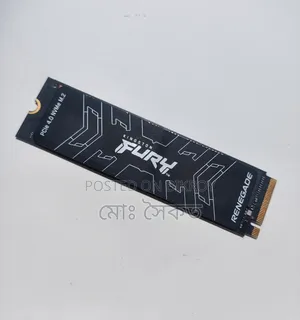 Kingston FURY Renegade 1TB PCIe 4.0 NVMe M.2 SSD (With Cash Memo)