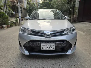 Toyota Axio 2019 Silver