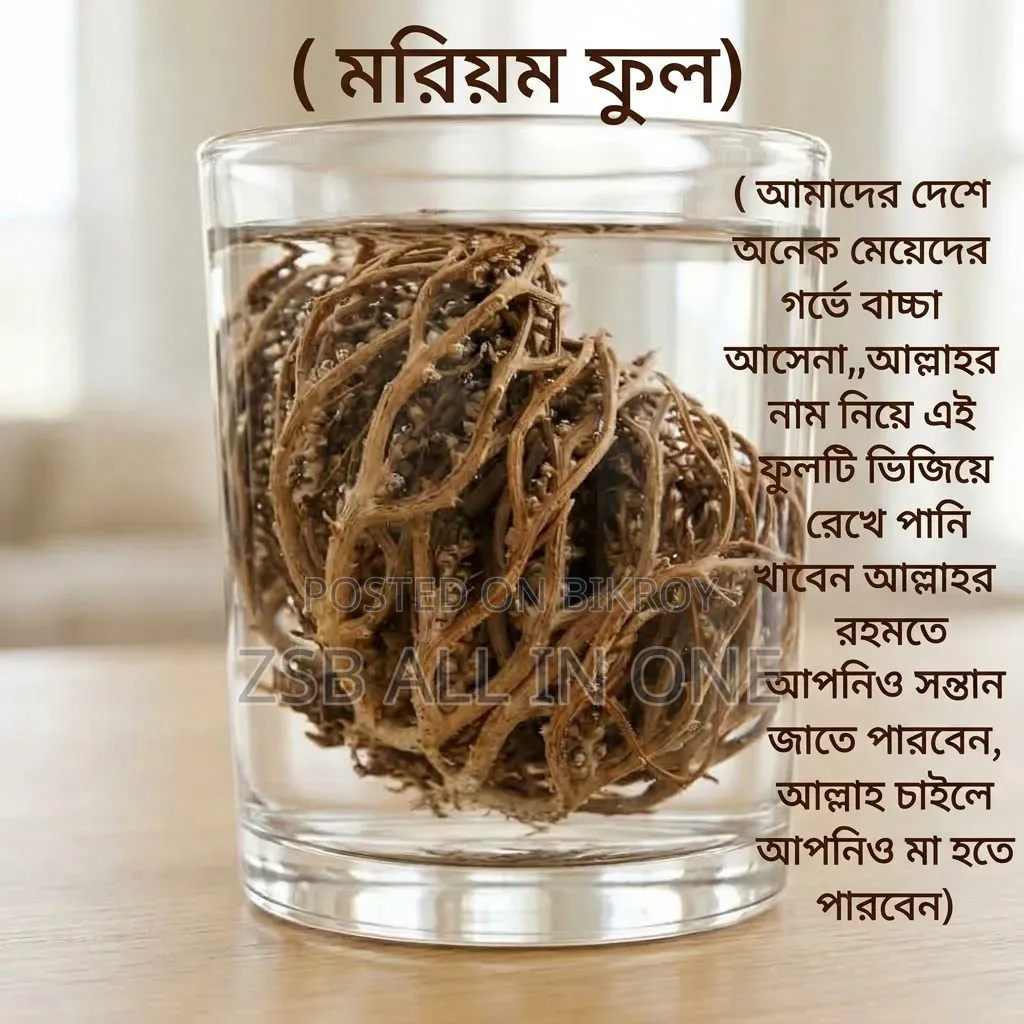 Moriom Flower মরিয়ম ফুল