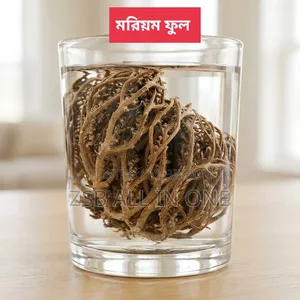 Moriom Flower মরিয়ম ফুল