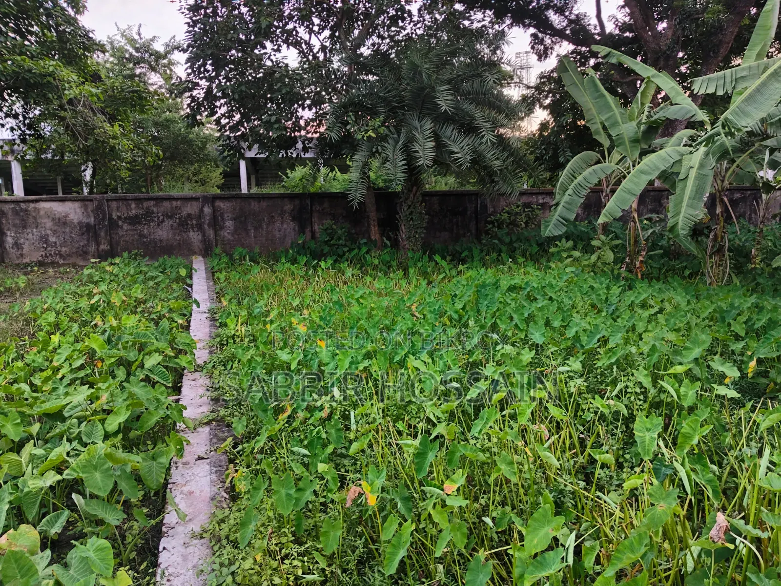 রাজশাহী তেরখাদিয়া উত্তরপাড়ায় ৪ কাঠার রেডি আবাসিক প্লট বিক্রয়!