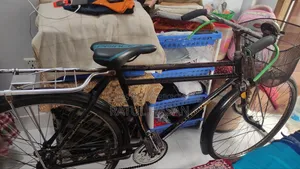 Good Condition Bicycle