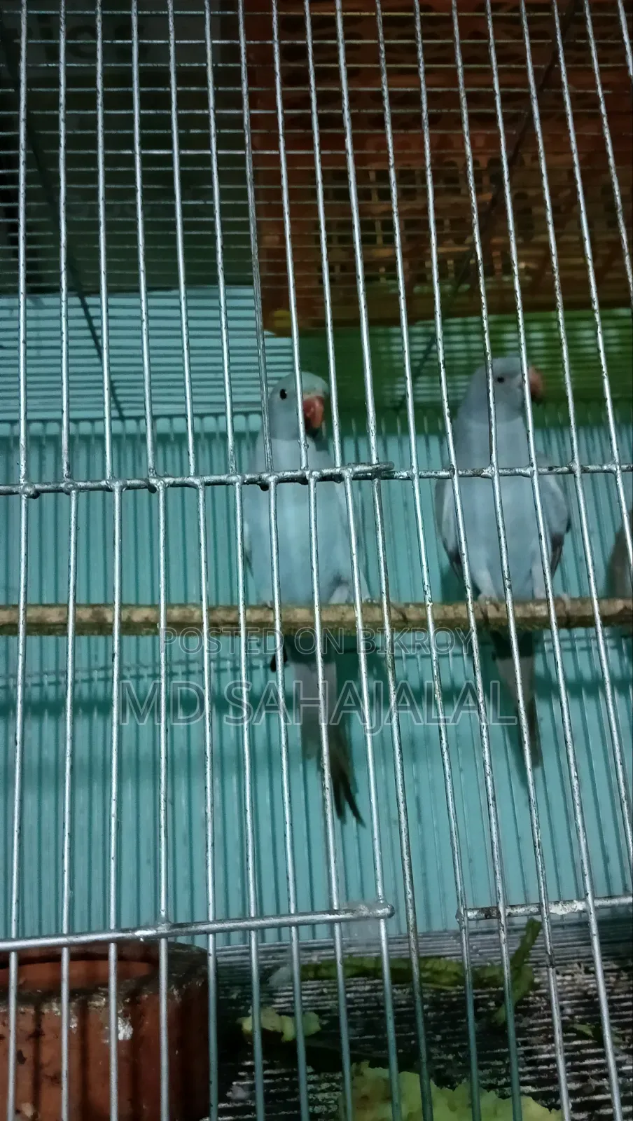 বিক্রি হবে