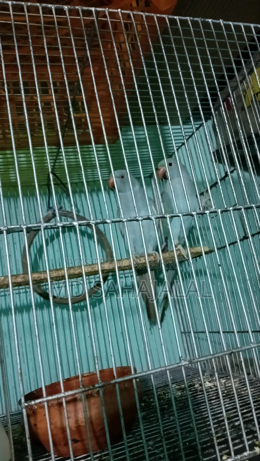 বিক্রি হবে