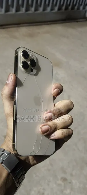 অ্যাপল আইফোন ১২ প্রো ম্যাক্স ১২৮ জিবি গোল্ড