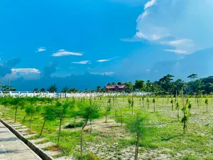 পাইন সিটি