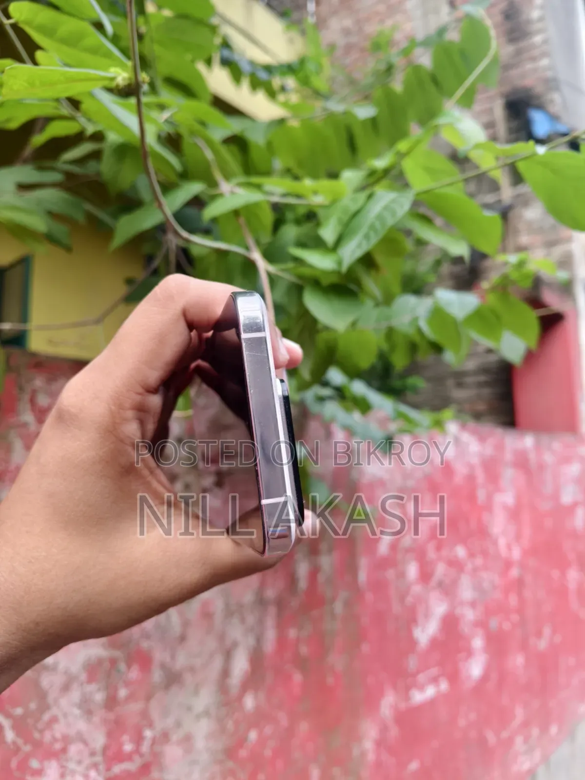 শাওমি ১৪ ২৫৬ জিবি পার্পল