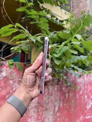 শাওমি ১৪ ২৫৬ জিবি পার্পল