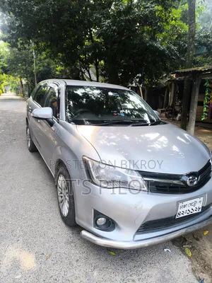 Toyota Corolla Fielder 2013 Silver