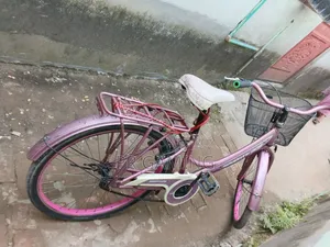 Ladies Cycle