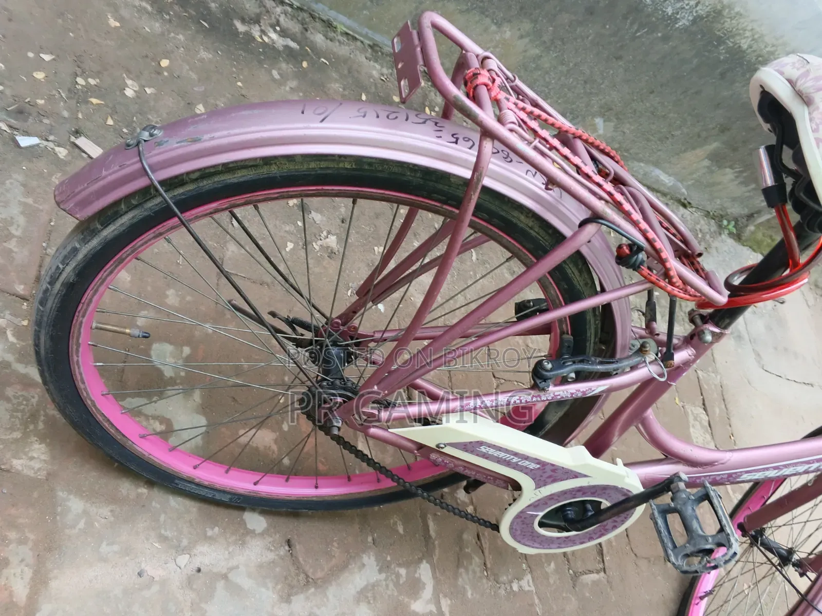 Ladies Cycle