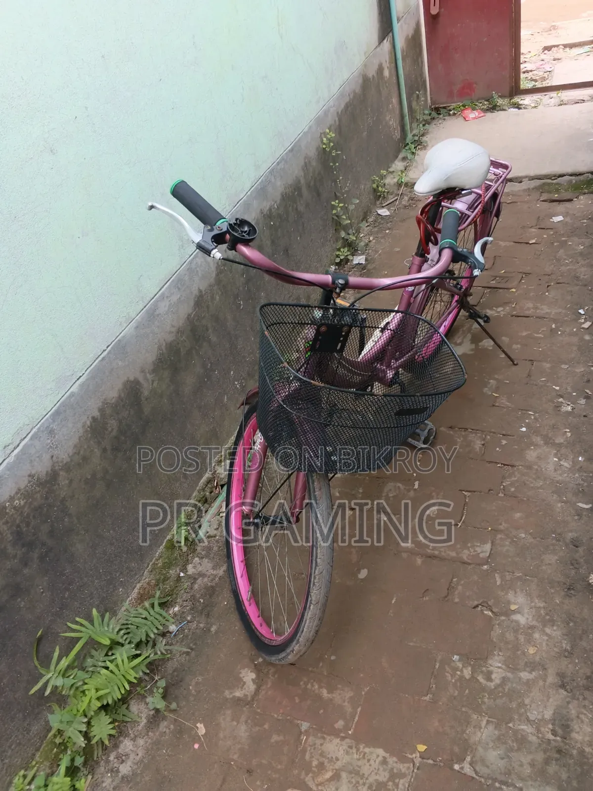 Ladies Cycle