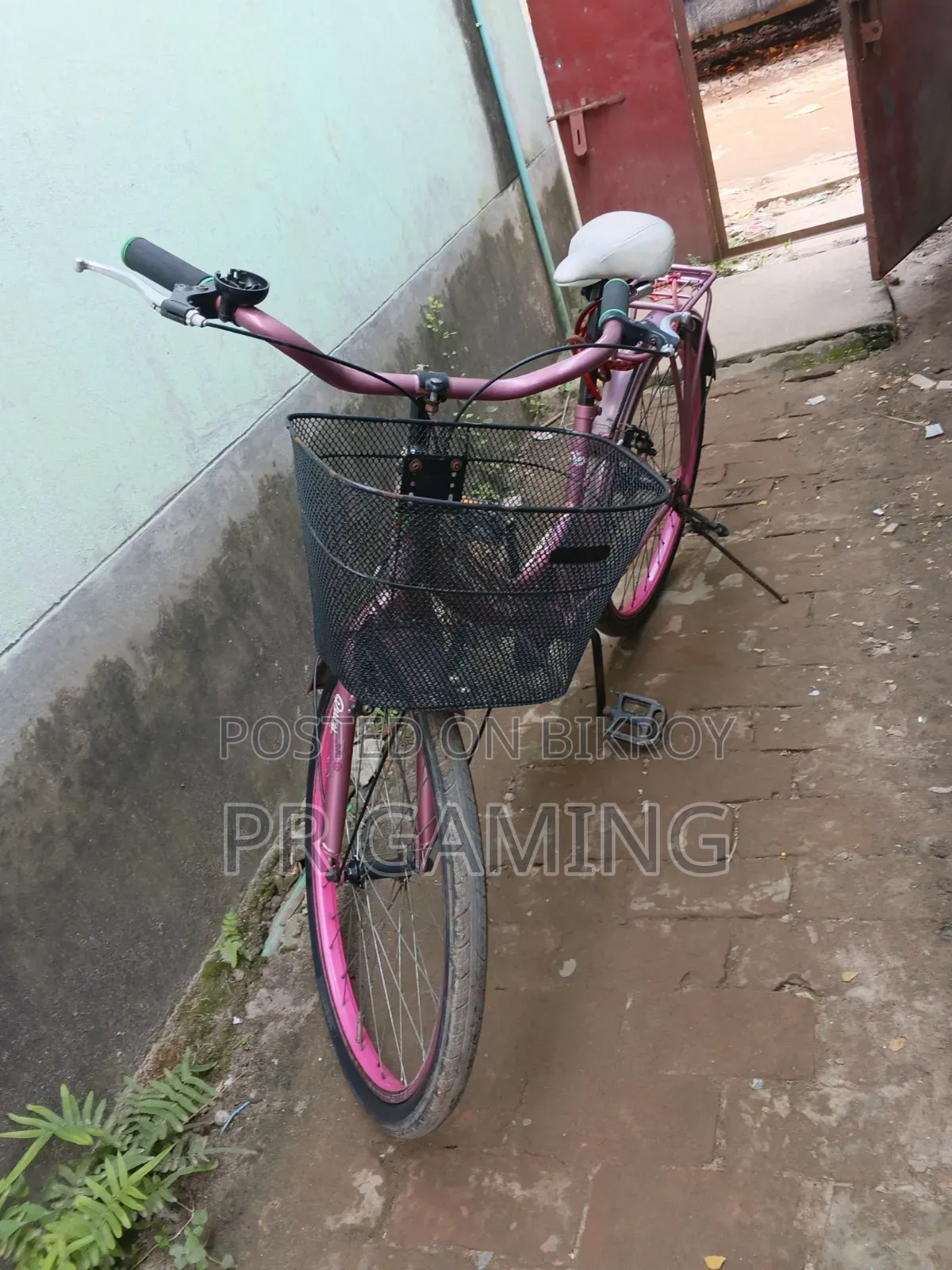 Ladies Cycle