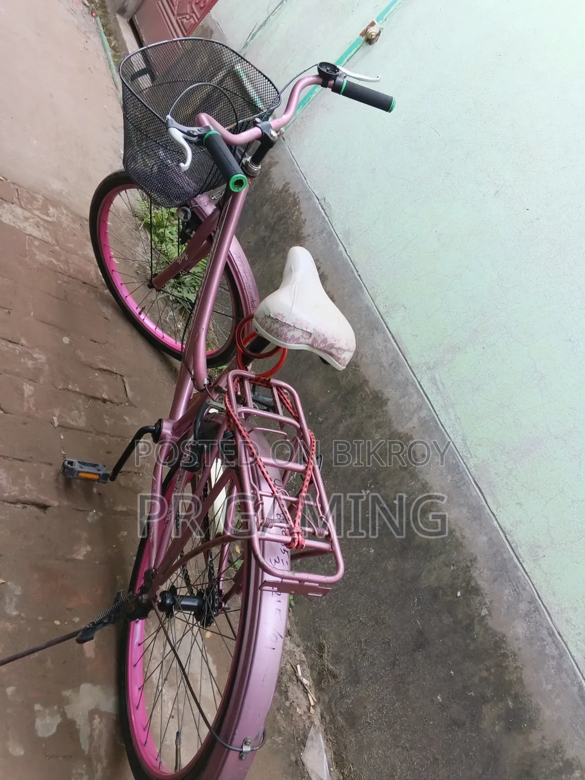 Ladies Cycle