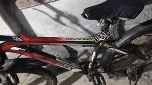 Non-Gear Bicycle