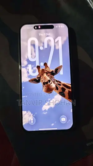 Apple iPhone 15 Pro 256 GB Gray