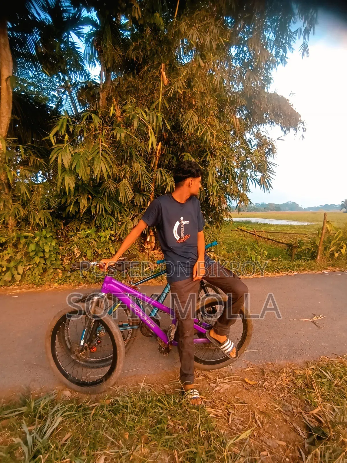 Custom Built Cycle