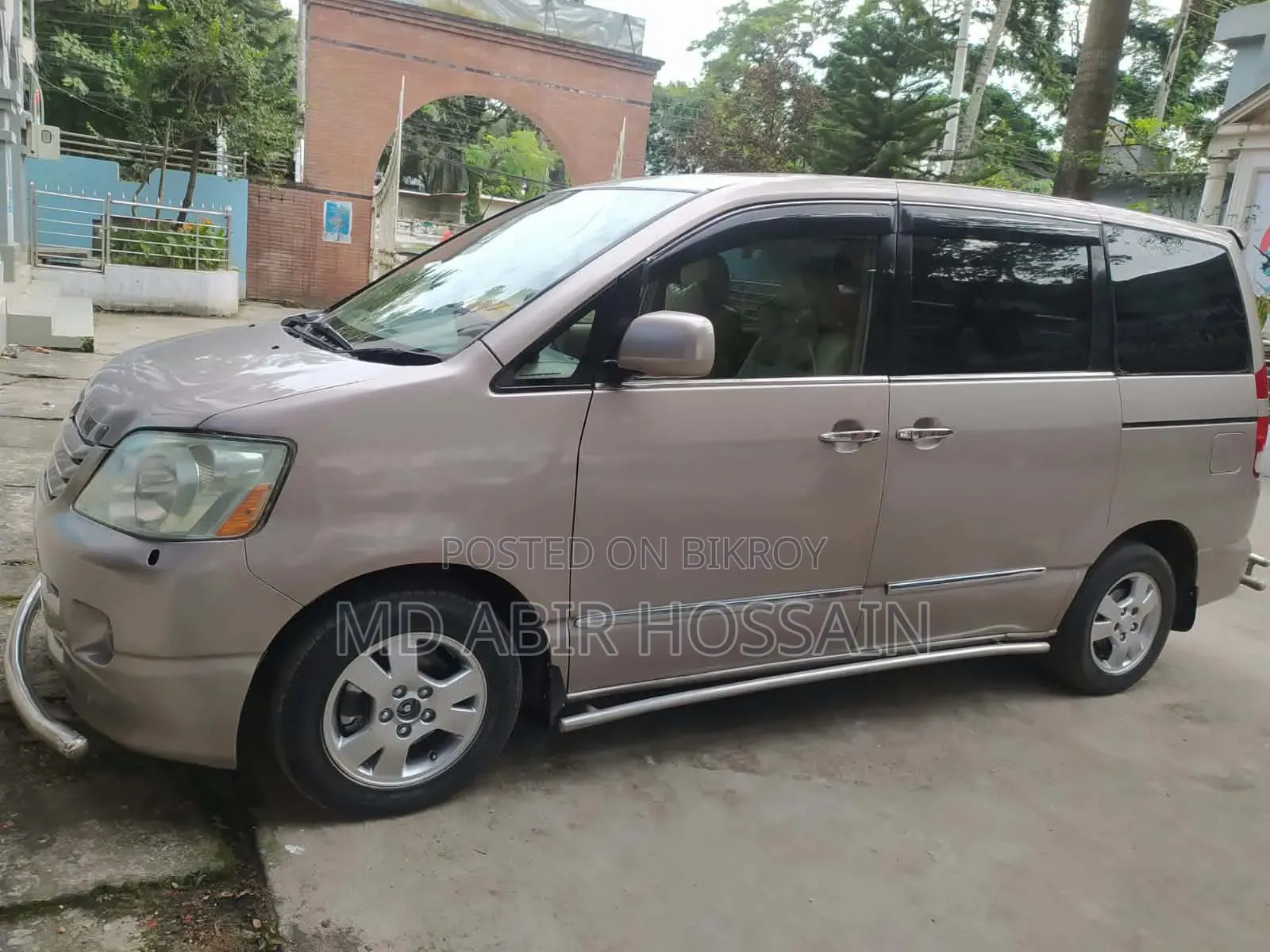 Brown Car 2013