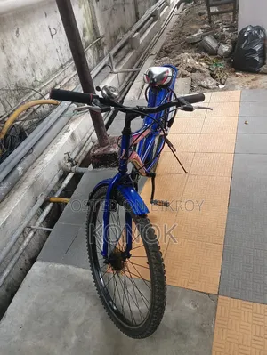 Prince Cycle