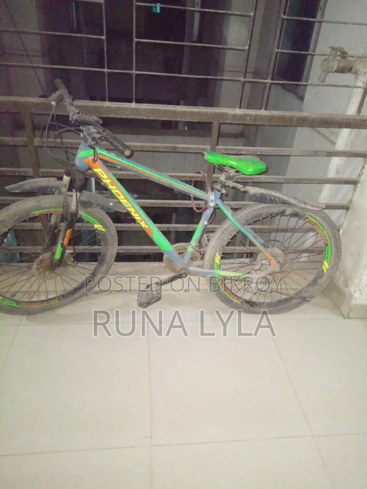 Phoenix Bicycle