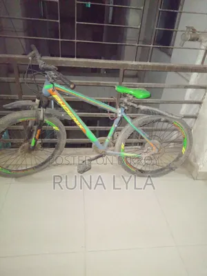 Phoenix Bicycle