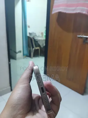 অ্যাপল আইফোন ১৬ প্রো ম্যাক্স ২৫৬ জিবি রোজ গোল্ড