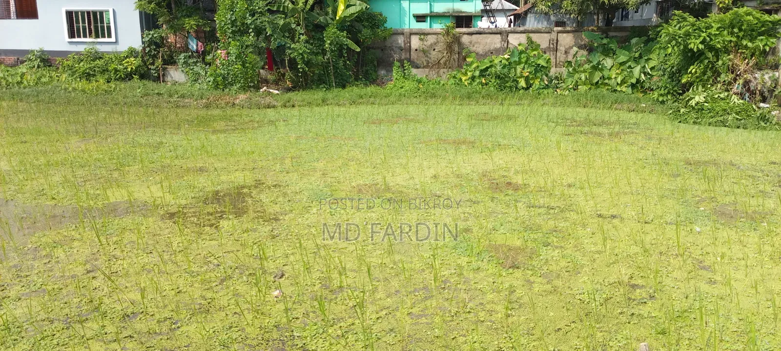 Four plots with 9 roads in Digarkanda Shantinagar will be sold
