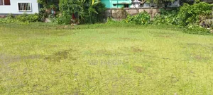 Four plots with 9 roads in Digarkanda Shantinagar will be sold