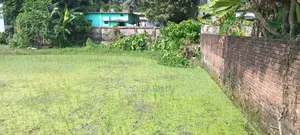 Four plots with 9 roads in Digarkanda Shantinagar will be sold