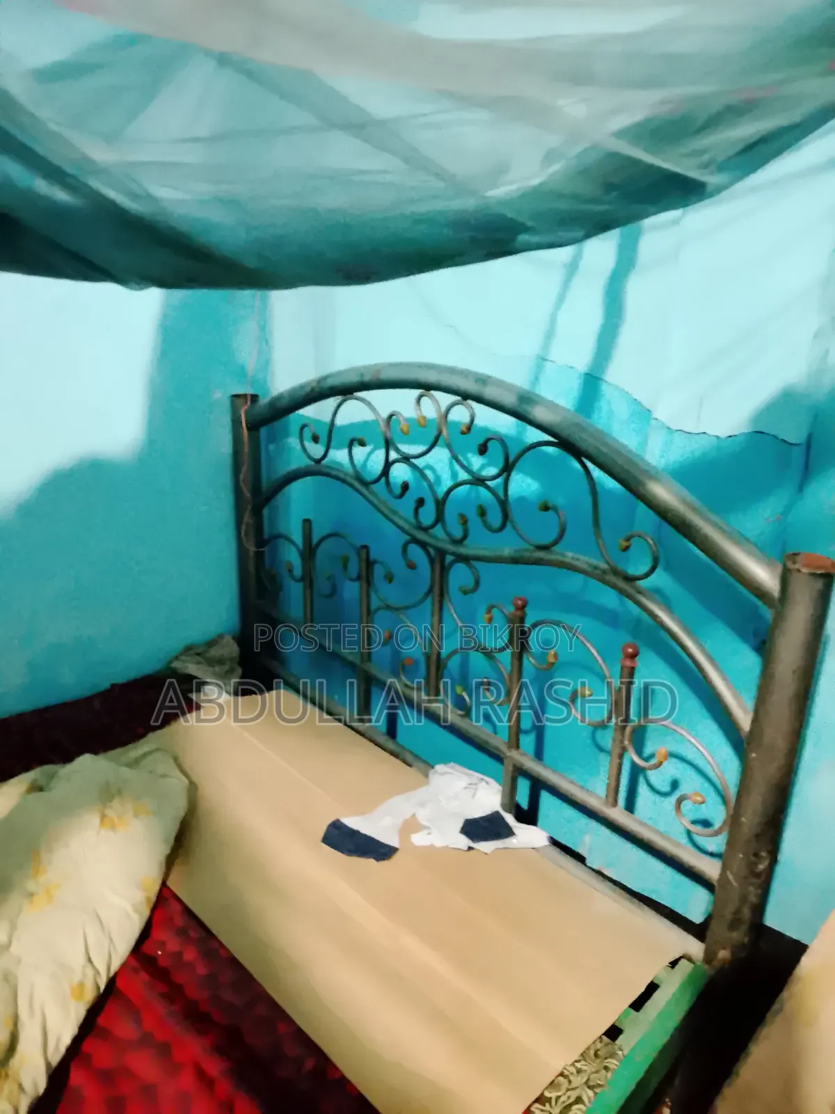 স্্টিলের পালং