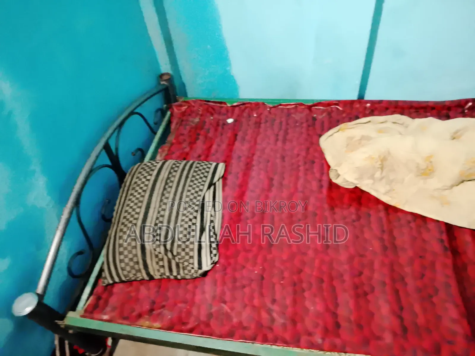 স্্টিলের পালং