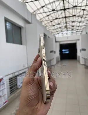 Apple iPhone 12 Pro Max 256 GB Gold