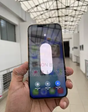 অ্যাপল আইফোন ১২ প্রো ম্যাক্স ২৫৬ জিবি গোল্ড