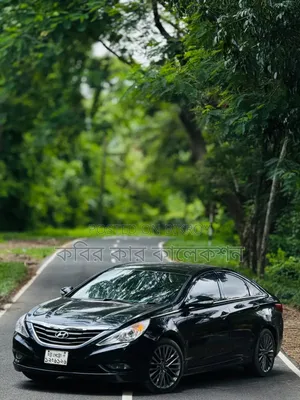 Hyundai Sonata 2011 Black