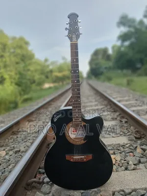 Guitar for sale